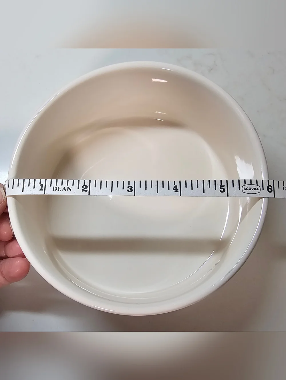 NEW Rae Dunn Large Drink Up Water Dog Cat Pet Bowl
